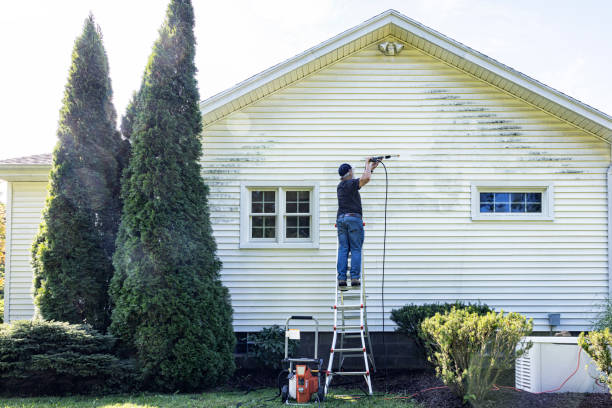 Best Dumpster Area Cleaning  in Coal City, WV